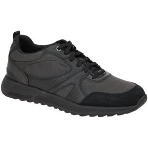 Geox Nette Schoenen  -
