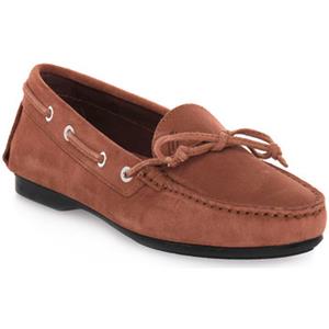 Frau Bootschoenen  CASTORINO TERRA