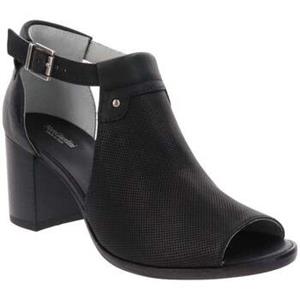 NeroGiardini Pumps  E512690D