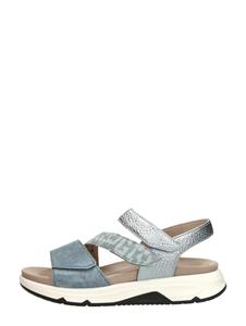 Gabor  Rollingsoft