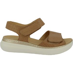 Doctor Cutillas Sandalen  Sandalen 46012 Slangenprint