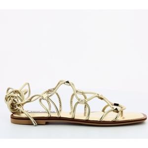 Steve Madden Sandalen  -