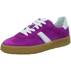 Sioux Sneakers  -