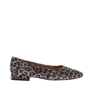 Di Lauro Alcan tara ballerina spits | dames | maat: | suede