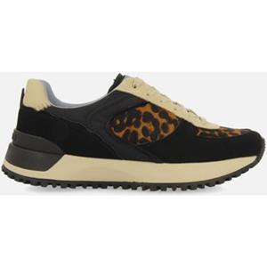 Gioseppo Sneakers  POTTER
