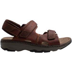 Clarks Sandalen  RAFFE-COAST-BROWN LETAHER