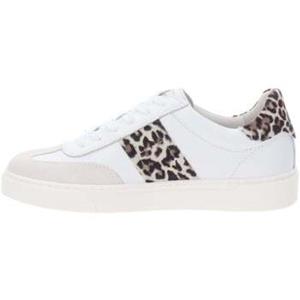 NeroGiardini Sneakers  E513007D