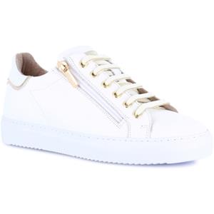 Grunland Lage Sneakers  DSG-SC4615