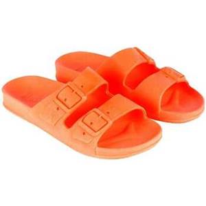 Cacatoès Sandalen  Bahia