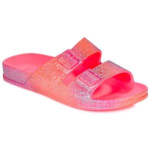 Cacatoès Slippers  SEREIA