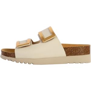 Scholl Slippers  231610