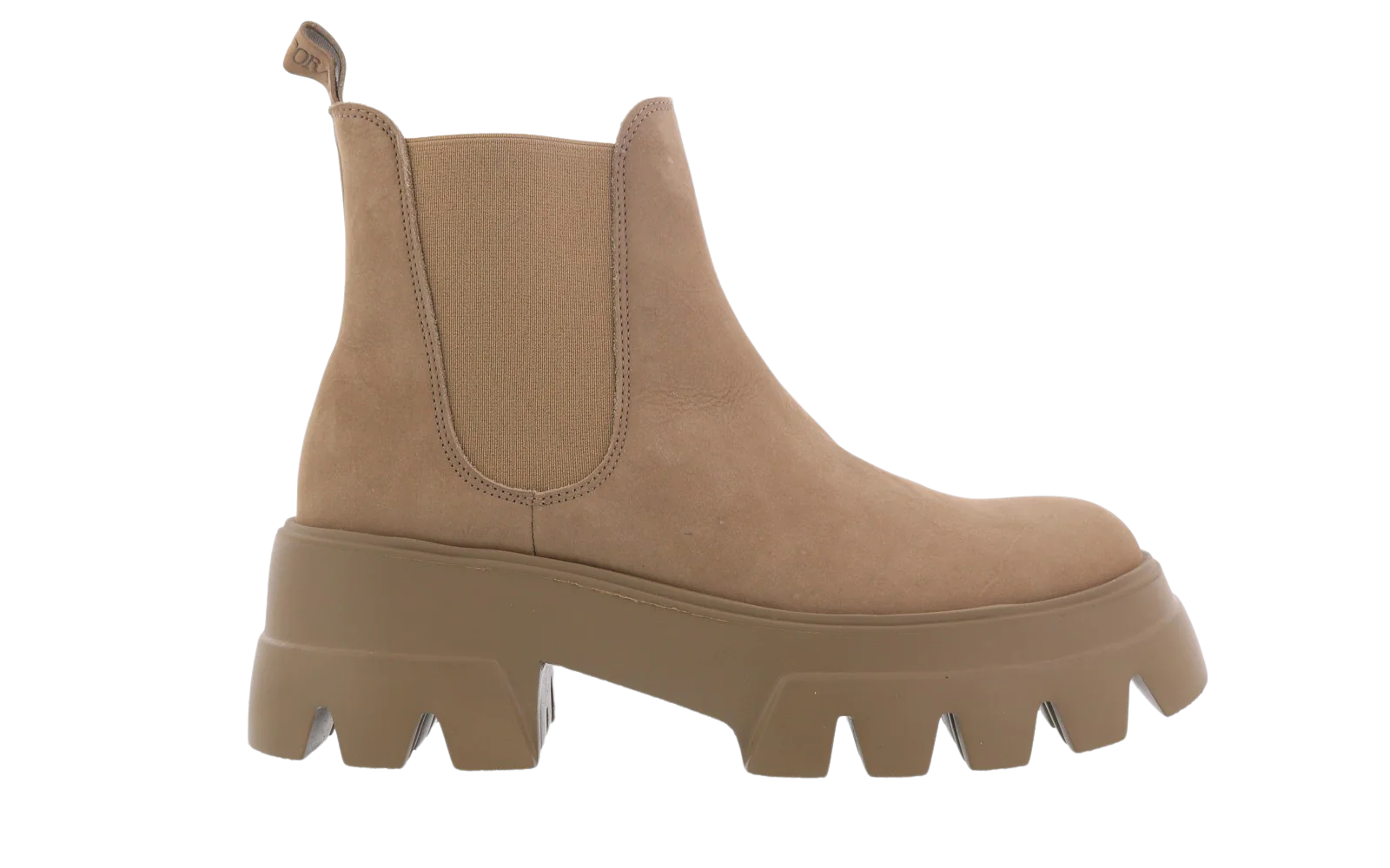 Toral Dames morbidone berceo mara