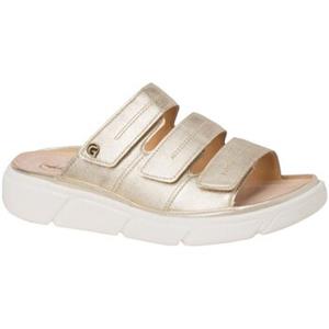 Ganter Klompen  -