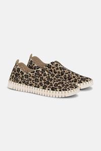 Ilse Jacobsen Tulip3275leo 110111 latte pearled ivory