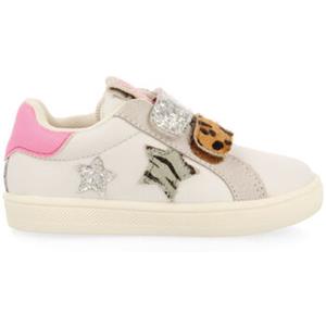 Gioseppo Sneakers  brasles