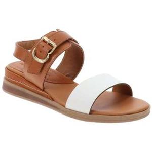 Valleverde Sandalen  VV47011