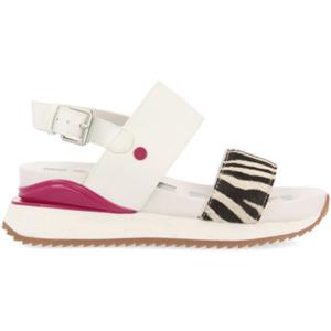 Gioseppo Sneakers  VAREDO