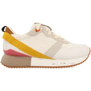 Gioseppo Sneakers  luzon
