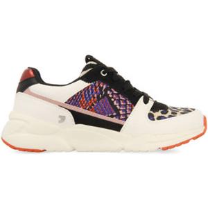 Gioseppo Sneakers  nocher