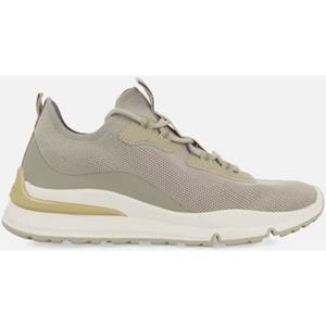 Gioseppo Sneakers  GNESAU
