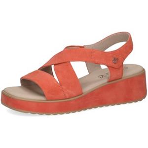 Caprice Sandalen  -