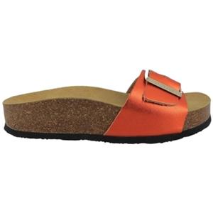 Plakton Slippers  CP BIS 3