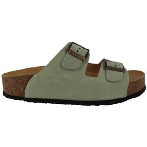 Plakton Slippers  BETA MET