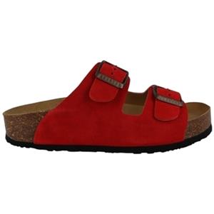 Plakton Slippers  BETA MET