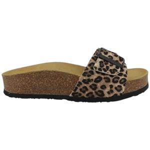 Plakton Slippers  CP BIS 3