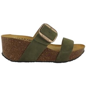 Plakton Slippers  SO ROCK