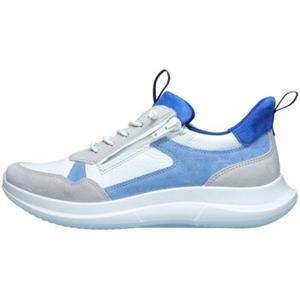 Ara Sneakers  -