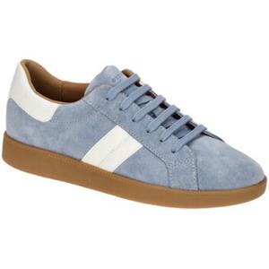 Geox Sneakers  -