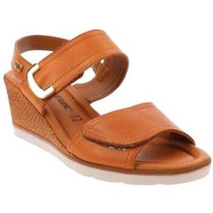 Valleverde Sandalen  VV-16250