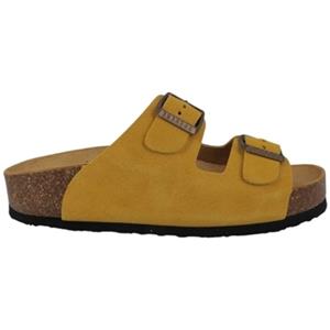 Plakton Slippers  BETA MET