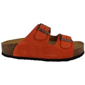 Plakton Slippers  BETA MET