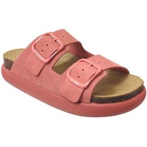 Scholl Slippers  Noelle Chunky