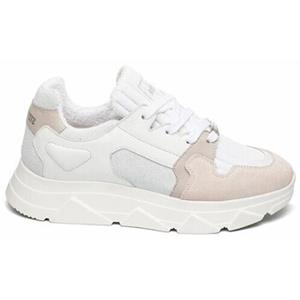 Steve Madden Sneakers  Baskets femme Poppy