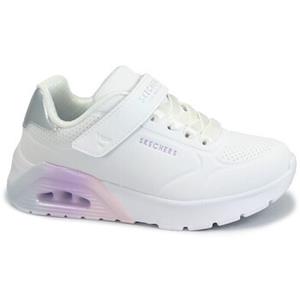 Skechers Lage Sneakers  SKE-CCC-310435L-WMLT