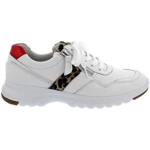 Gabor Sneakers  46.318.51