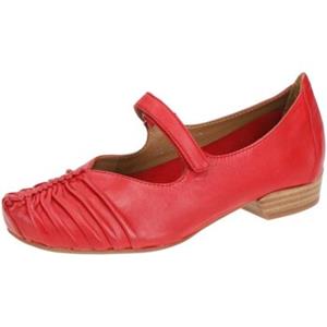 Everybody Mocassins  -