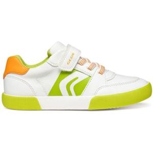 Geox Sneakers  Baskets enfant Gisli