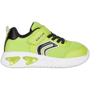Geox Sneakers  Baskets enfant Assister