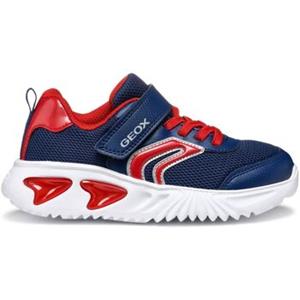 Geox Sneakers  Baskets enfant Assister C
