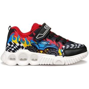 Geox Sneakers  Baskets enfant Wroom D