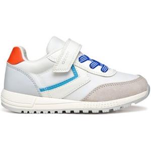 Geox Sneakers  Baskets enfant Alben A