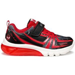 Geox Sneakers  Baskets enfant Ciberdron