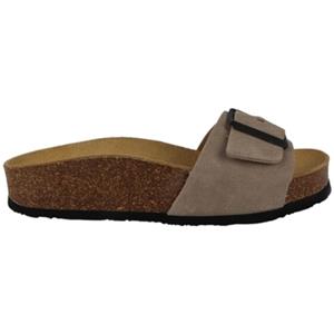 Plakton Slippers  CP BIS 3