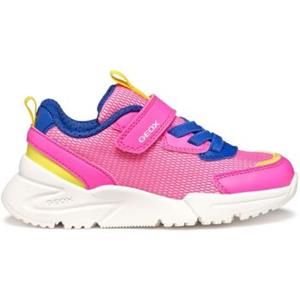 Geox Sneakers  Baskets femme Loftus