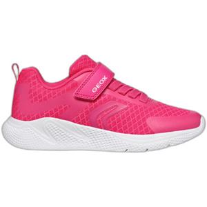 Geox Sneakers  Baskets femme Sprintye