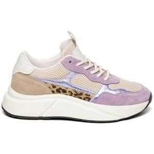 Steve Madden Sneakers  Baskets femme Starlyn